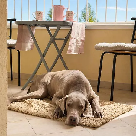 Apartament Family - Sunny Terrace - 3 Bedrooms - Parking